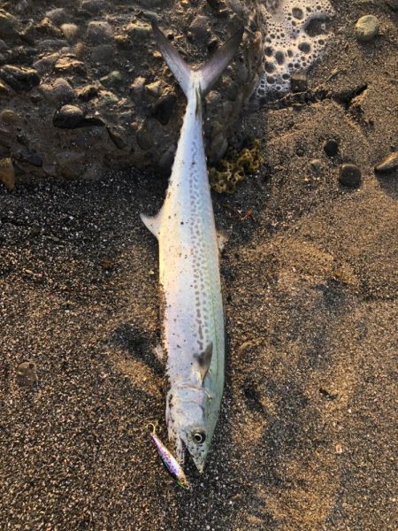 天草苓北町のサーフ