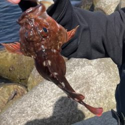 厳しい穴釣り#10