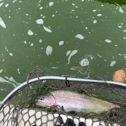 服部フィッシングパーク