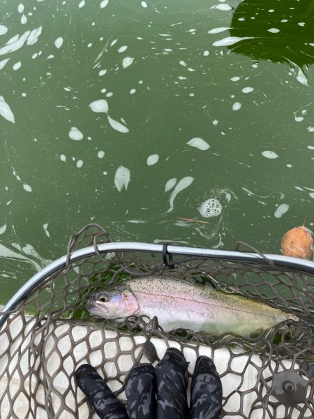 服部フィッシングパーク