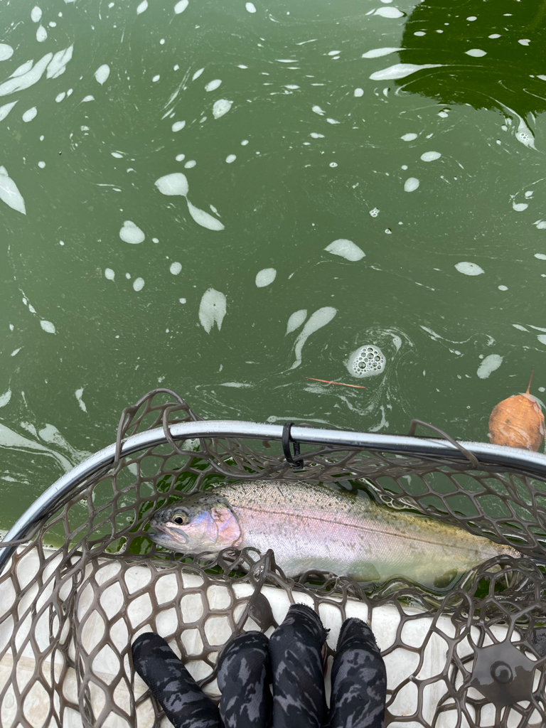 服部フィッシングパーク