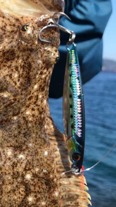 沖磯のジグパラダメージ鱗と餌木蔵ベイトフェ…