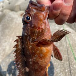 厳しい穴釣り#8