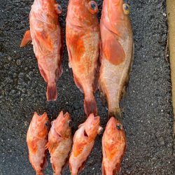 〜テンヤ釣り〜