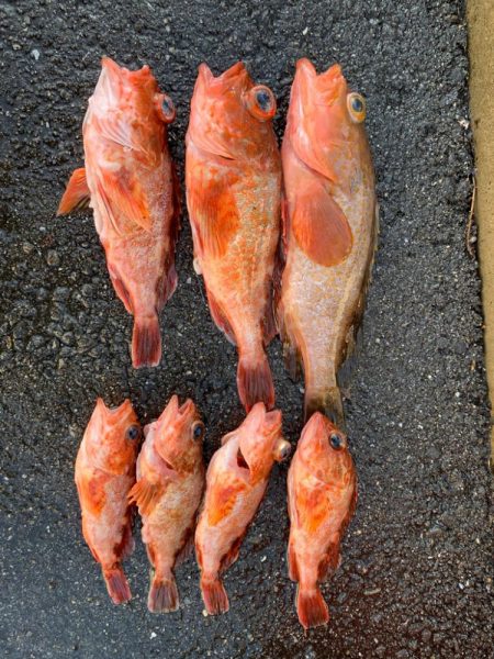 〜テンヤ釣り〜