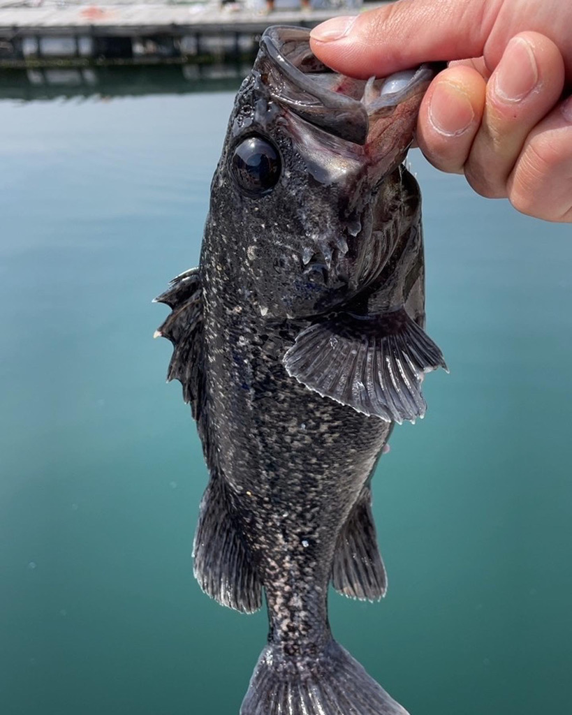 サーモンコーナー