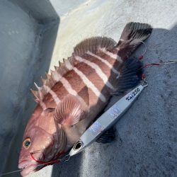 五目スロージギング