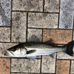 寒の戻りのなか活性高い