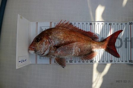 明石、タイラバ