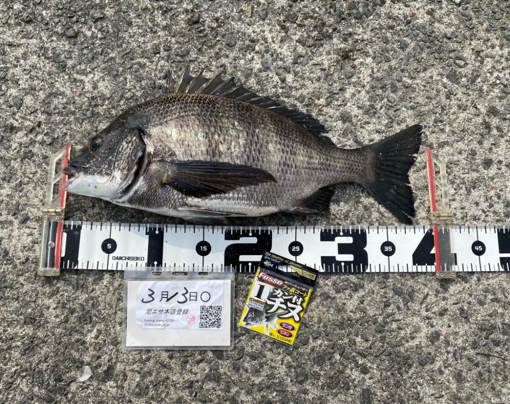 ★尼エサエビ撒き釣りグランプリ3月③