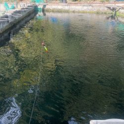 常盤釣り堀センター