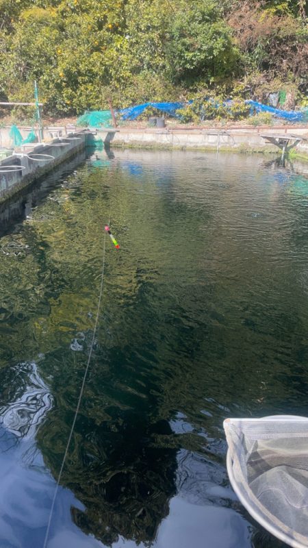 常盤釣り堀センター