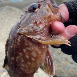 厳しい穴釣り#11