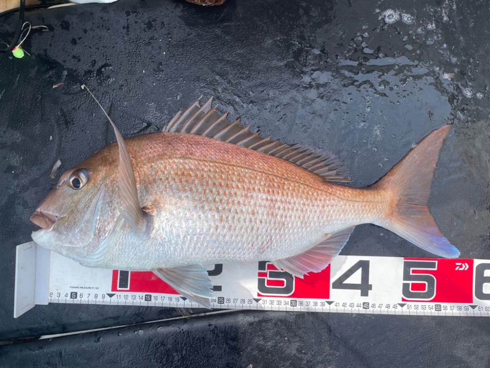 一つテンヤ3月10日