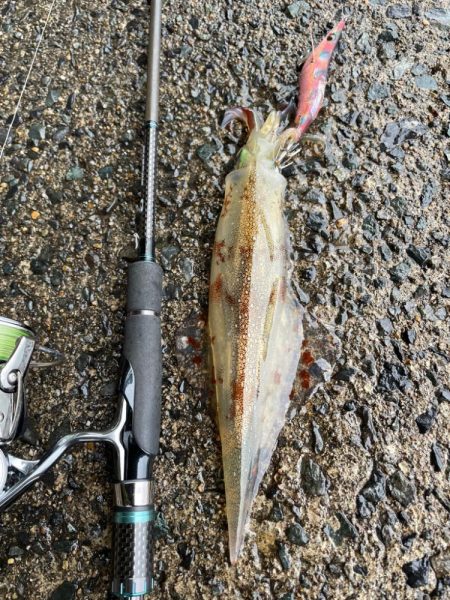 まだヤリ〜いました❗…