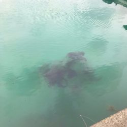 ムラムラさせて初のキロGET‼︎