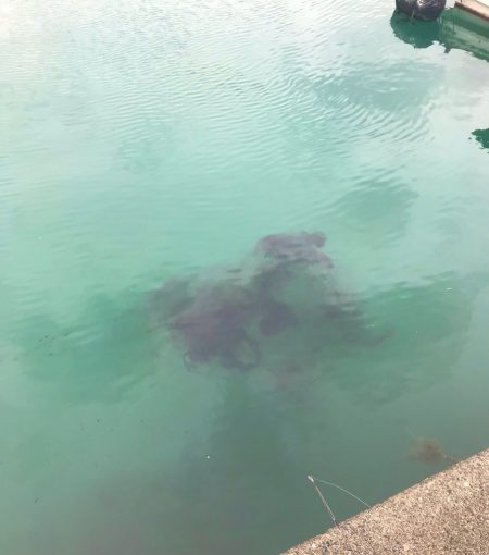 ムラムラさせて初のキロGET‼︎