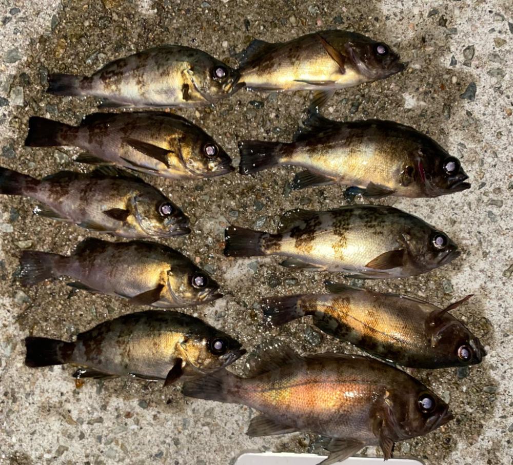 フロートメバリング