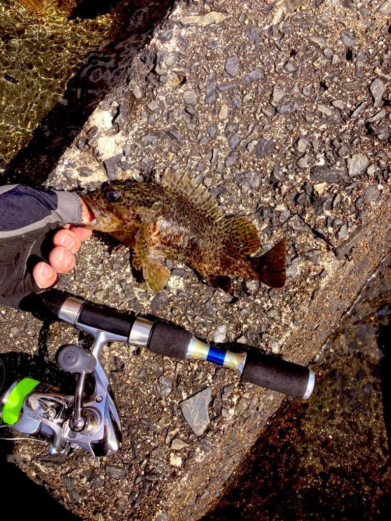 穴釣り今年7回目