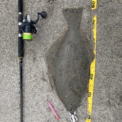 座布団もう一枚？！