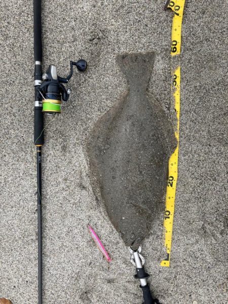 座布団もう一枚？！