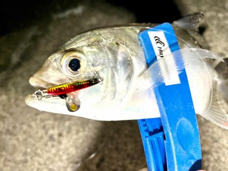 ちびジャックアイたちでライトゲーム