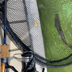 かめプー　鱒釣り