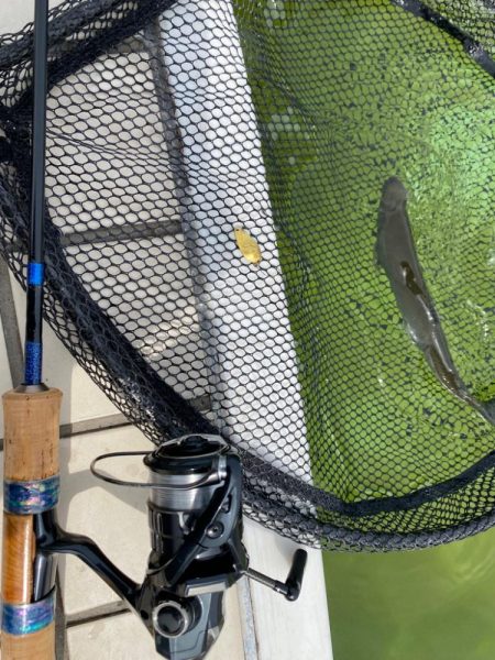 かめプー　鱒釣り