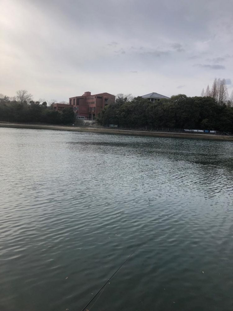 久しぶりのチヌ