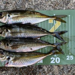 久しぶりの朝活