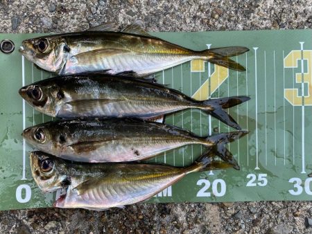 久しぶりの朝活