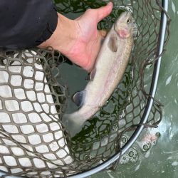 服部フィッシングパーク