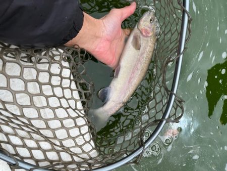 服部フィッシングパーク