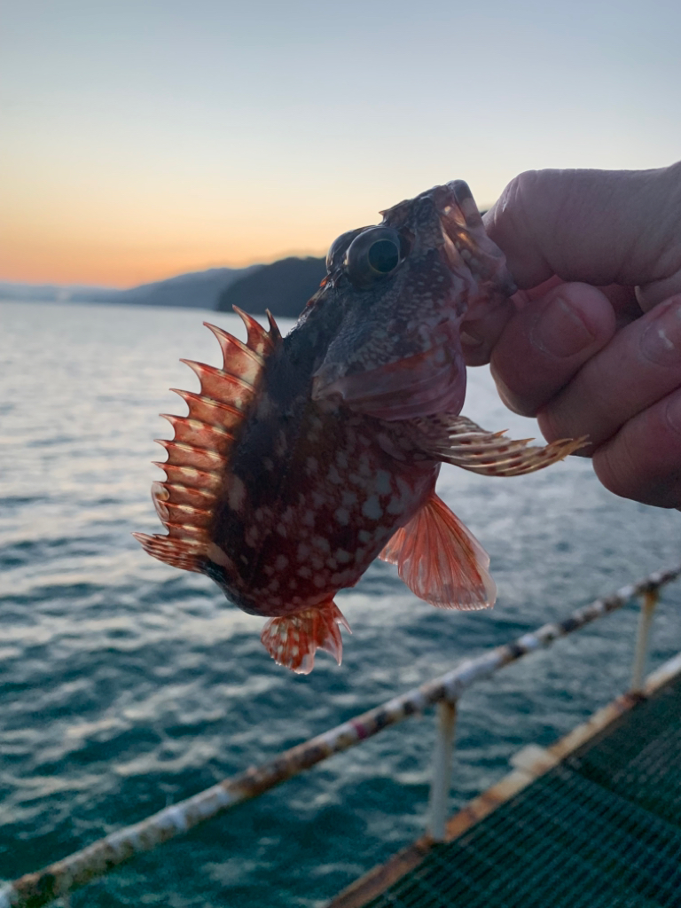 朝はまだまだ寒いです