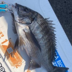 またまたフカセ釣り