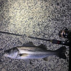 小物プラッキング