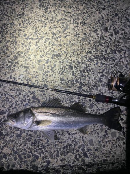 小物プラッキング