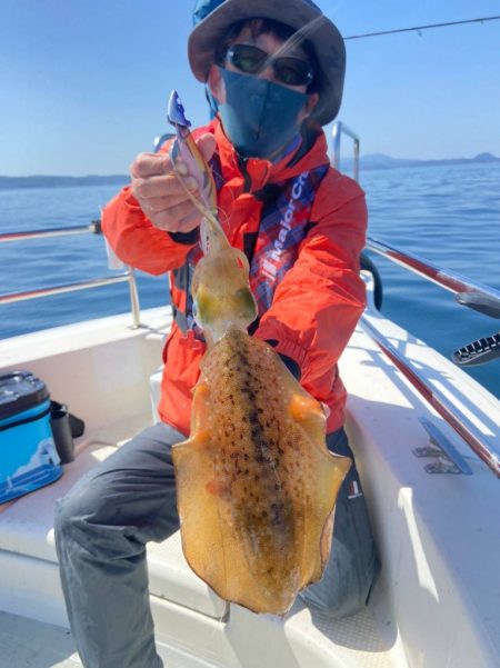 餌木蔵TRシンカーとベイトフェザーでティッ…