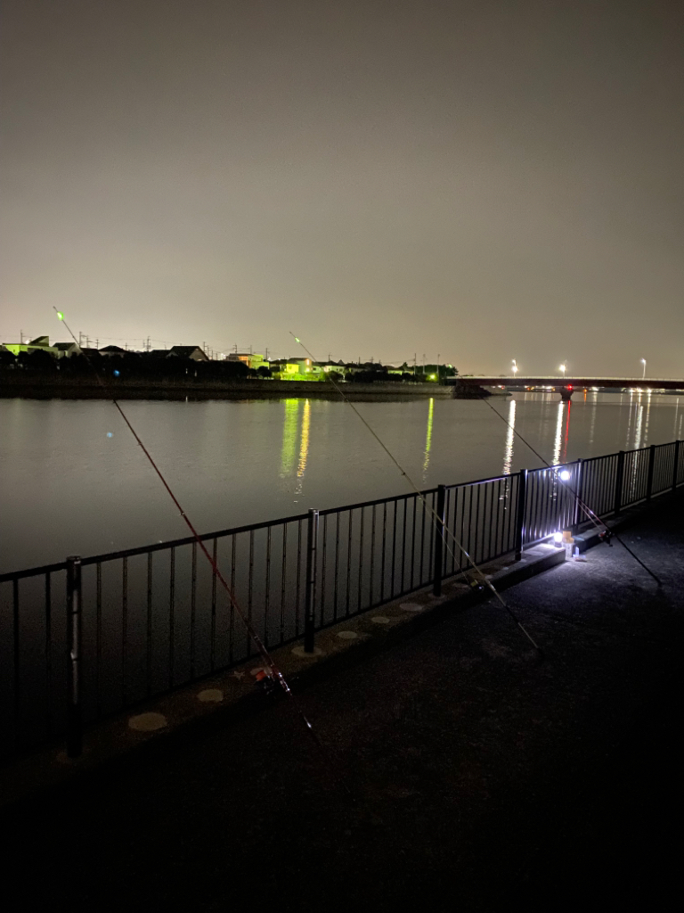 花見カレイ釣り