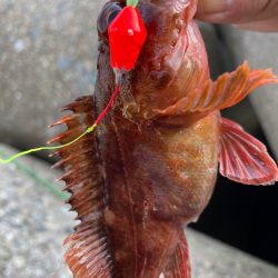 厳しい穴釣り#7