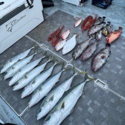 徳島沖ジギング