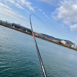 今年初チヌ‼️