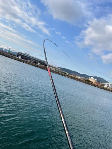 今年初チヌ‼️