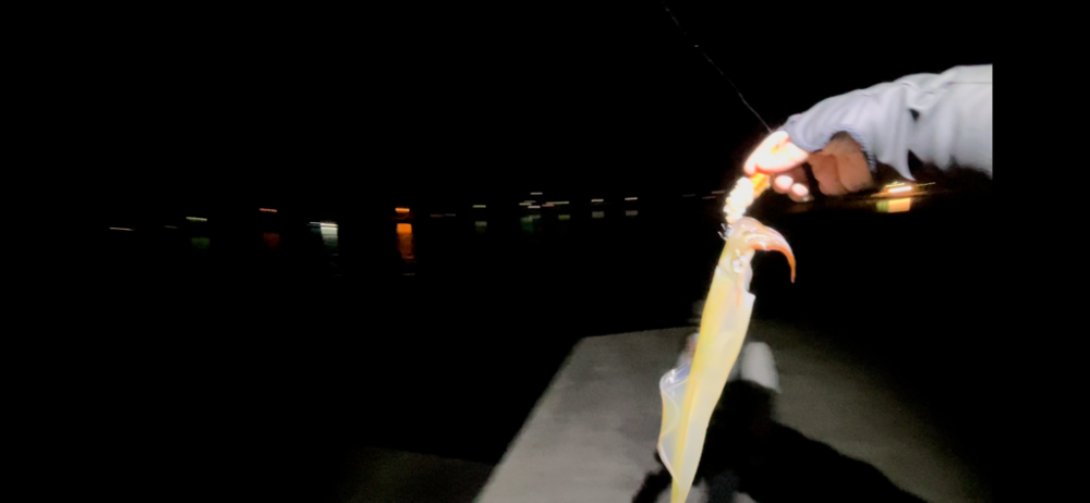 ツンツン、ゴンッ