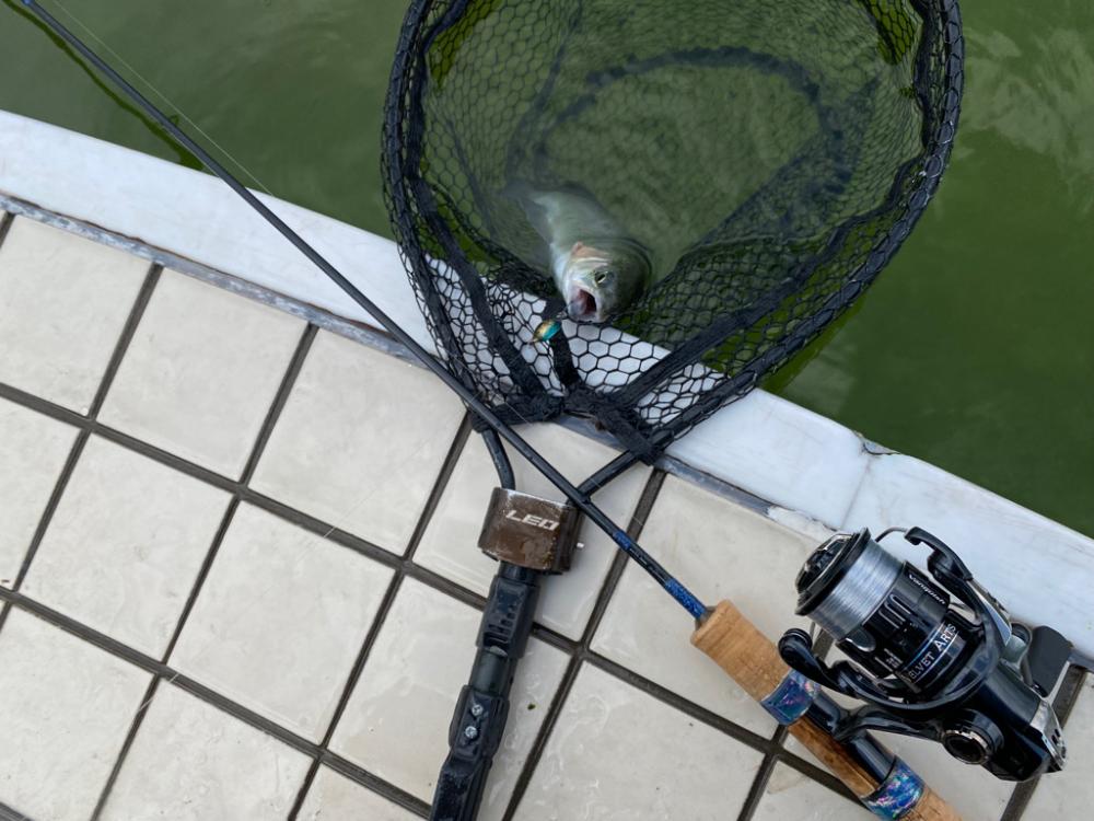 かめプー　亀岡市　簡単に釣れる