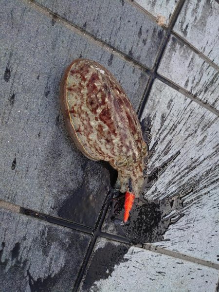 スランプからの脱出