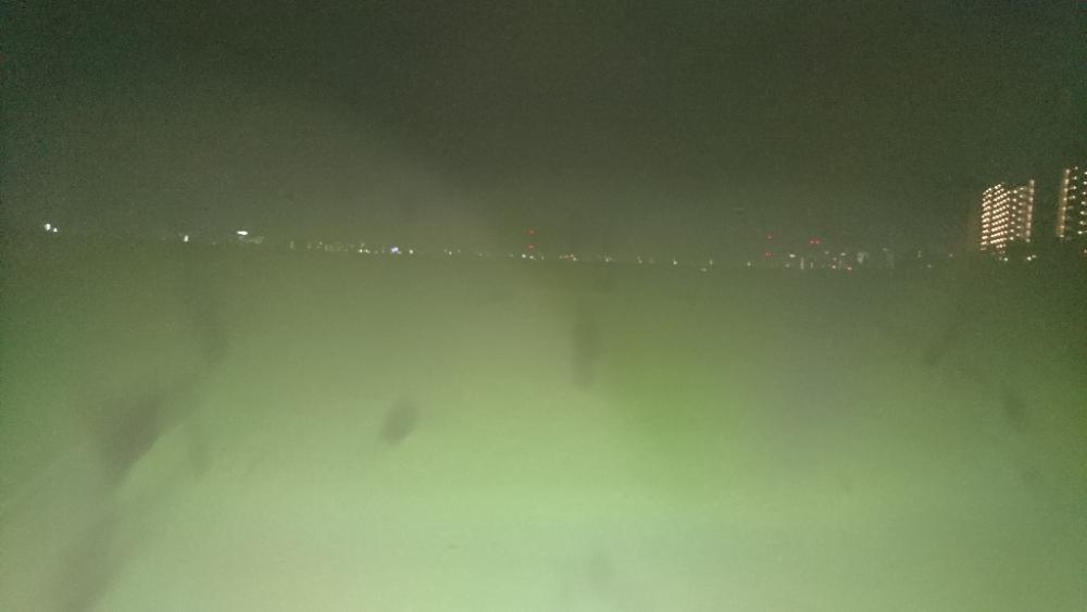 今年初フィッシュ