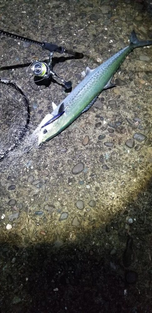 メーター届かず