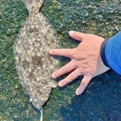 ２ヶ月ボウズでした(*_*)