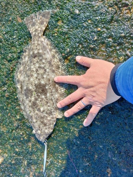 ２ヶ月ボウズでした(*_*)